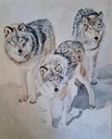 loups.jpg