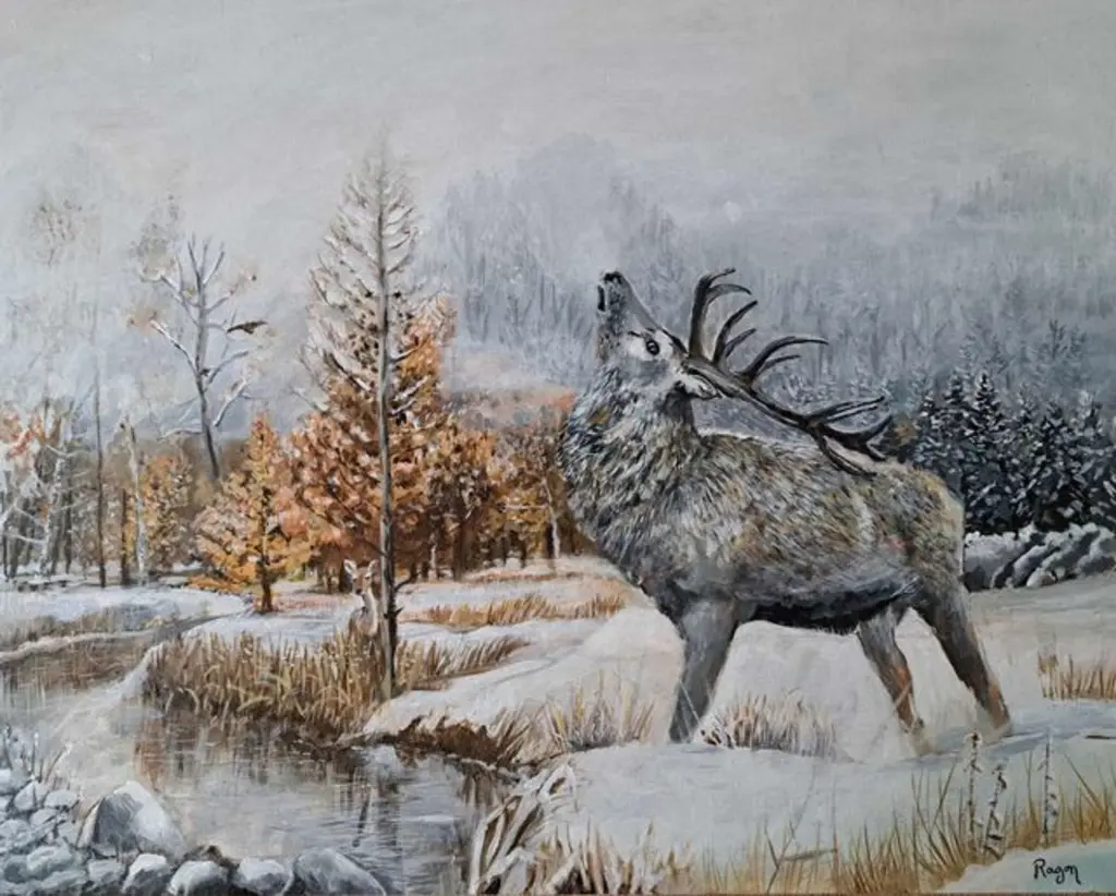 cerf.webp