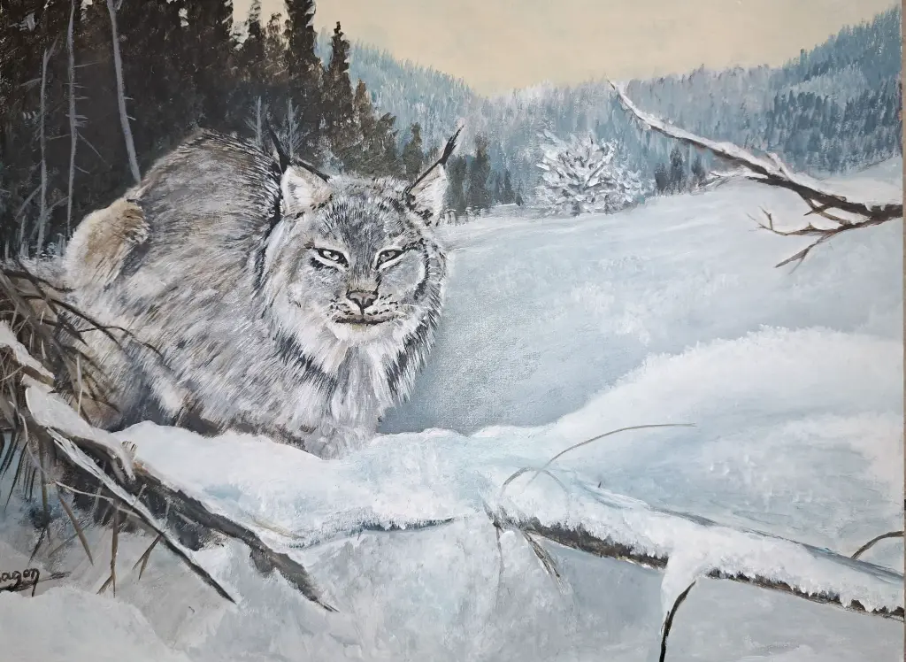 lynx-neige.webp