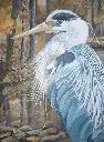 heron.webp
