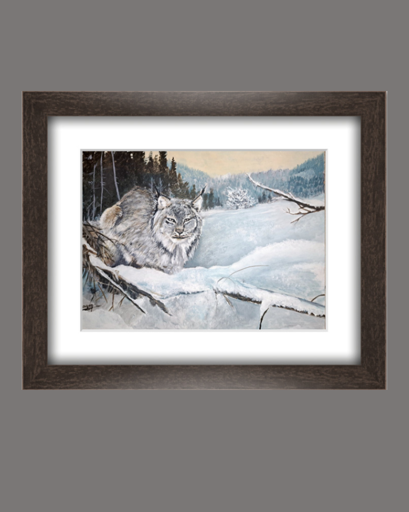 Lynx dans la neige