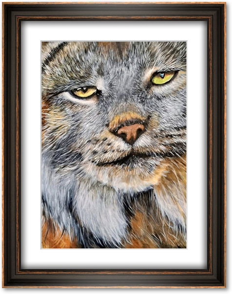 Lynx (40x50 cm (Sans cadre))