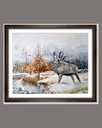 Stag in the Mist