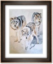 Meute de loups